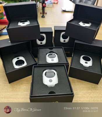 Professional Personal Dosimeter for Industrial Radiation Safety Lightweight Personal Radiation Alarm with Low Error