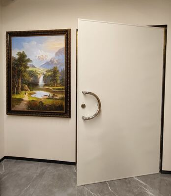 EMI Resistant RF Shielding Door for Sensitive Electronic Environments